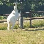 Du Bel Angerville Bain Nordique Pont L'evêque *