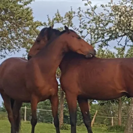 Du Bel Angerville Bain Nordique Pont L'evêque Saint-André-dʼHébertot