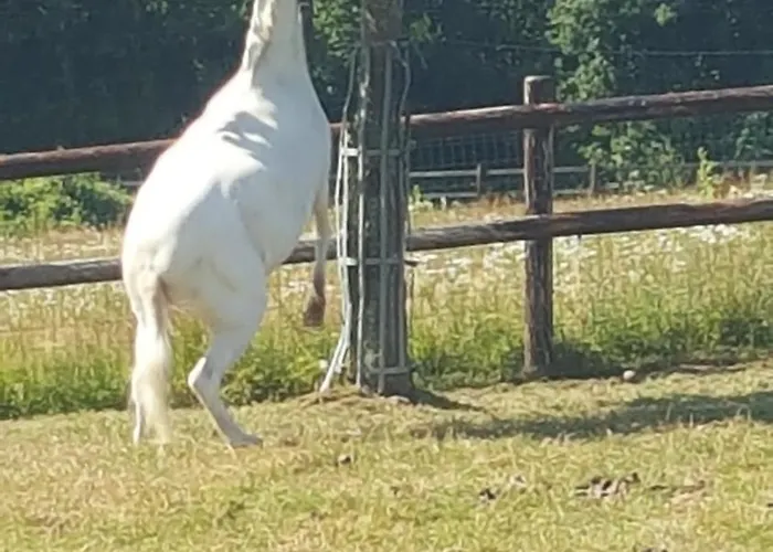 Du Bel Angerville Bain Nordique Pont L'eveque *